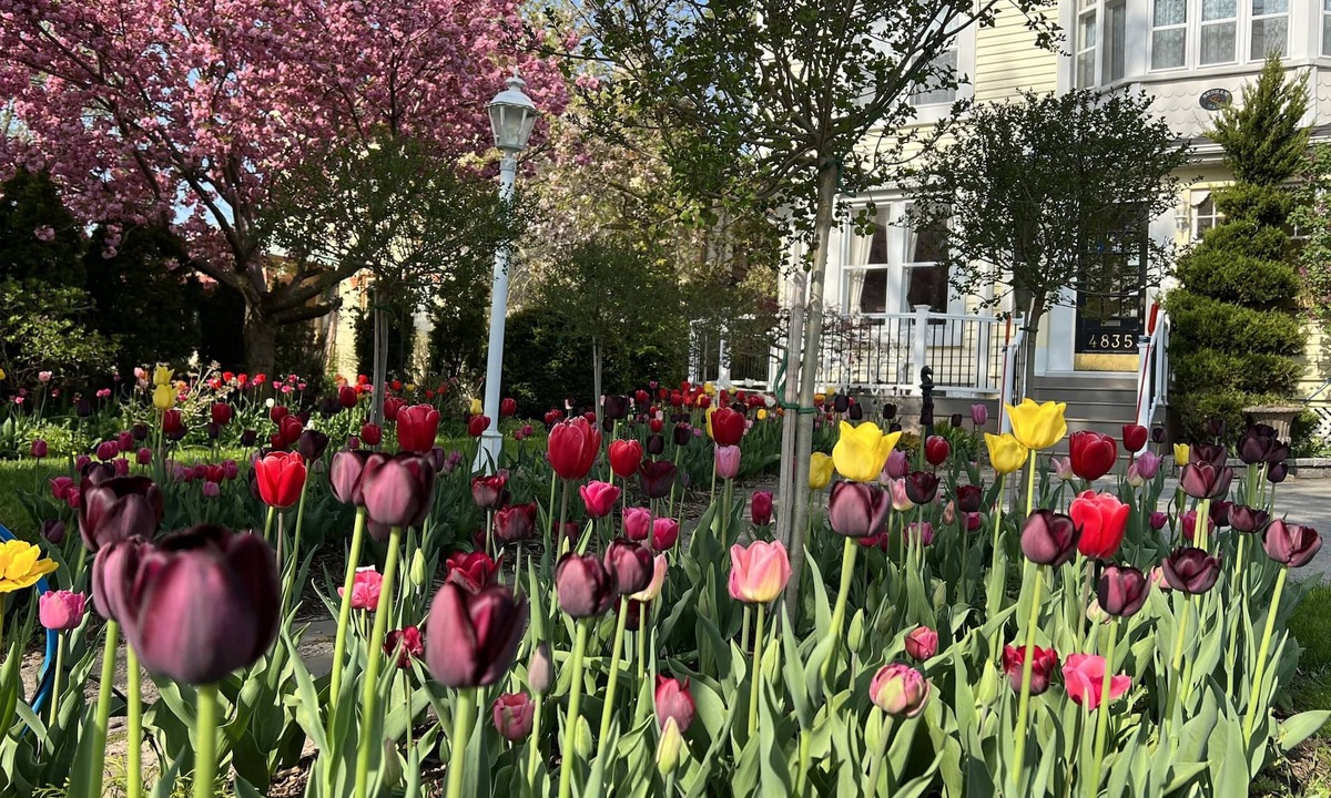 Niagara Falls Bed & Breakfast | Bedham Hall Bed & Breakfast
