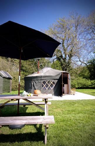 Haslemere Other | Beech Yurt
