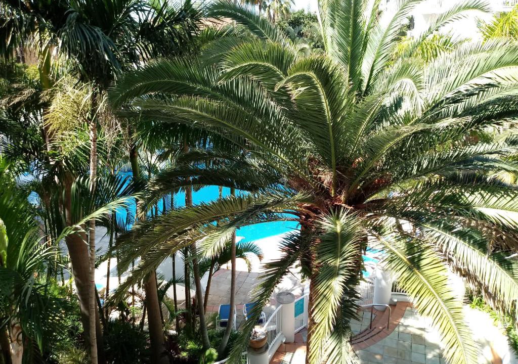 Broadbeach Apartment | Bel Air Private Condominium