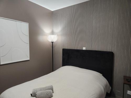 Saint-Quentin Apartment | Bel Appartement Centre-Ville
