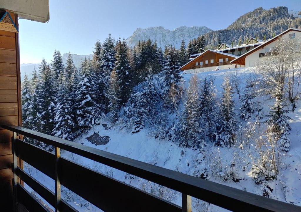 Vionnaz Apartment | Bel Appartement Torgon