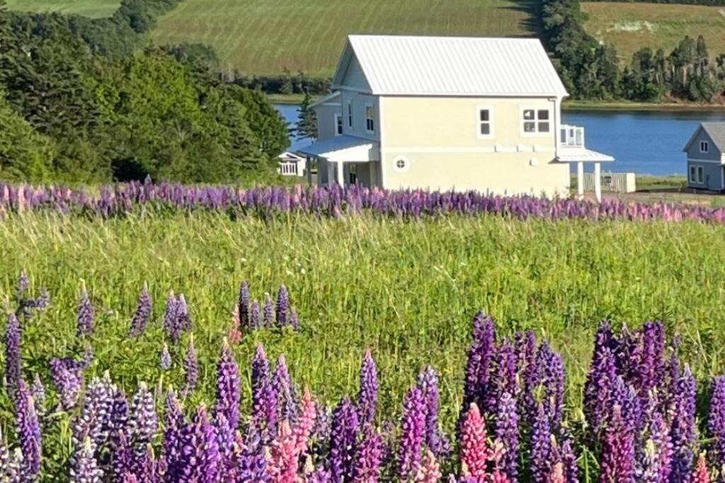 French River House | Bela Vista Getaway - PEI Tourism License #1201185