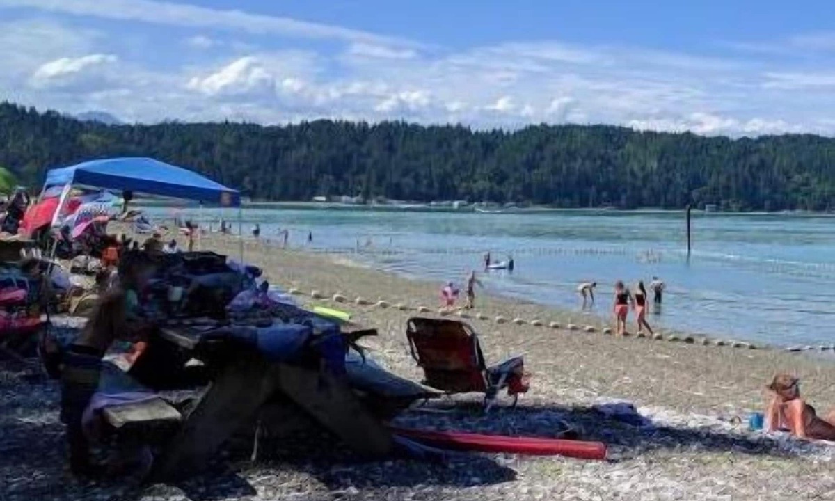 Belfair Hotel | Belfair Motel