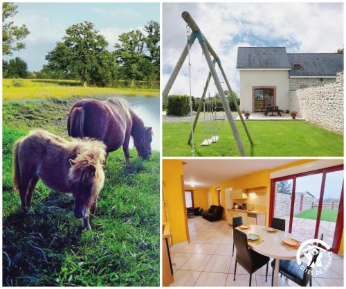 Mayenne House | Belle Vue