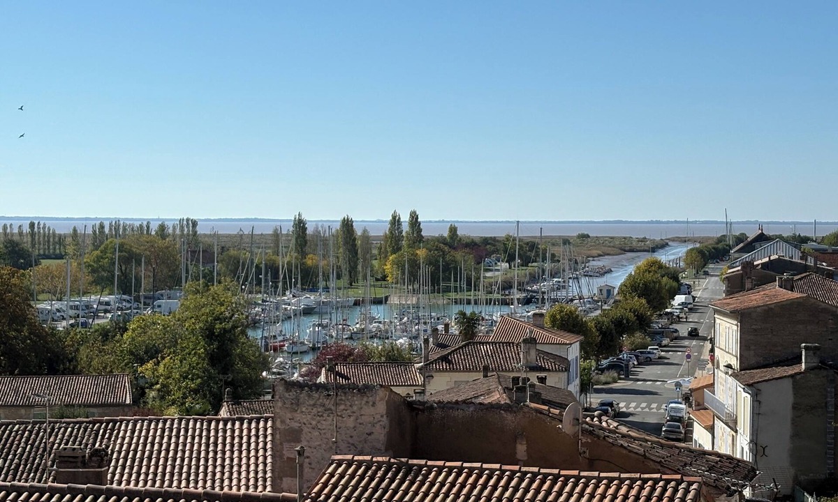 Mortagne-sur-Gironde House | Bellis, a breathtaking view of the Gironde estuary and the port of Mortagne.