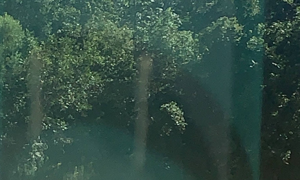 Horn Lake House | Bells Estate