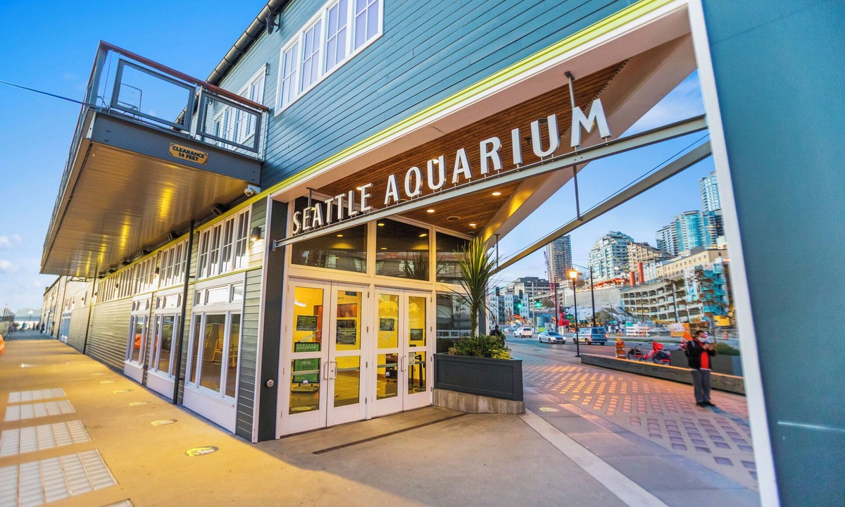Belltown Apartment | Belltown Perch explore like a local
