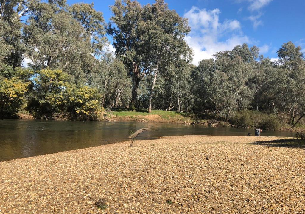 East Wangaratta Cabin | Beltie Park Homestead