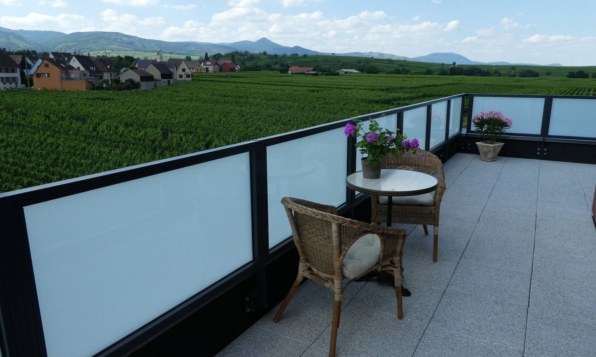Bennwihr Apartment | BENNWIHR in ALSACE, between RIQUEWIHR, KAYSERSBERG and COLMAR 🔺PROMOTION MAY-JUNE
