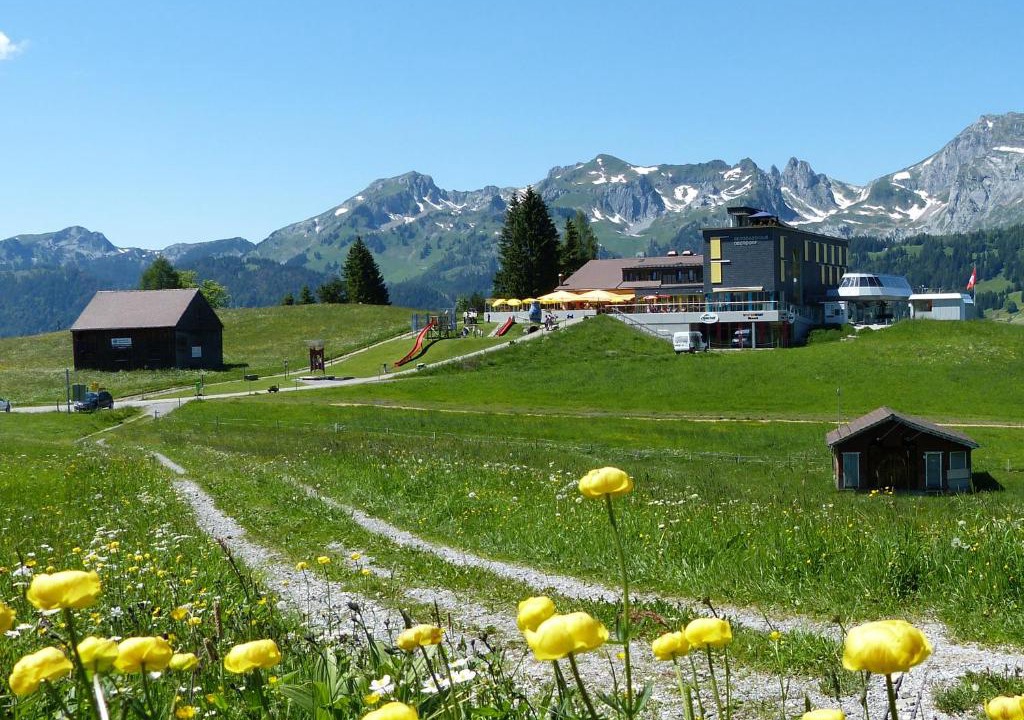 Wildhaus Hotel | Berggasthaus Oberdorf