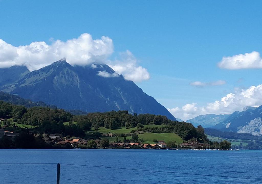 Darligen Apartment | Berner Oberland Am Thunersee