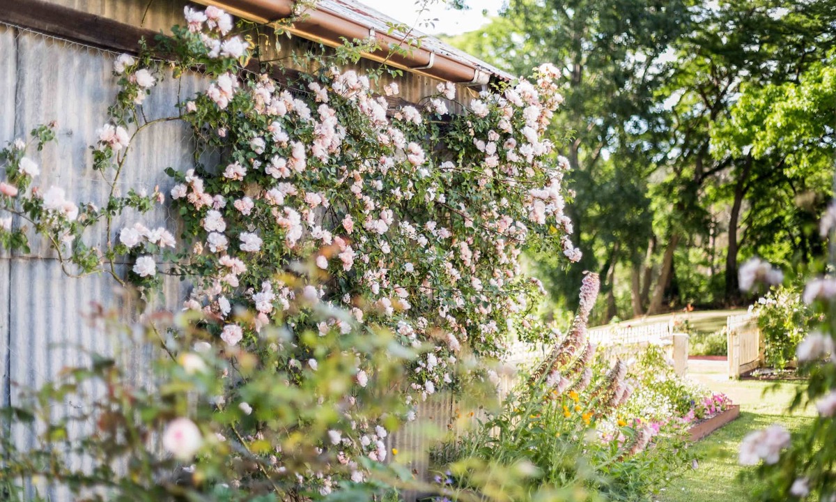 Berrima Hotel | Berrima Bakehouse Motel