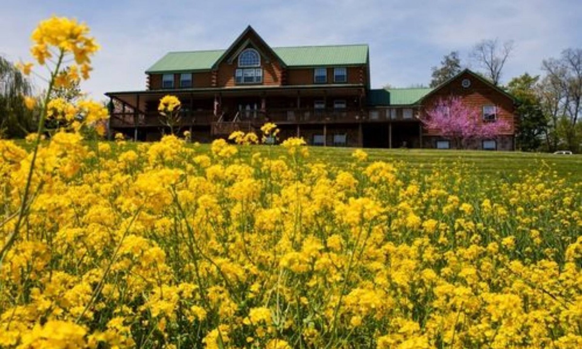 Ono Bed & Breakfast | Berry Patch Bed and Breakfast