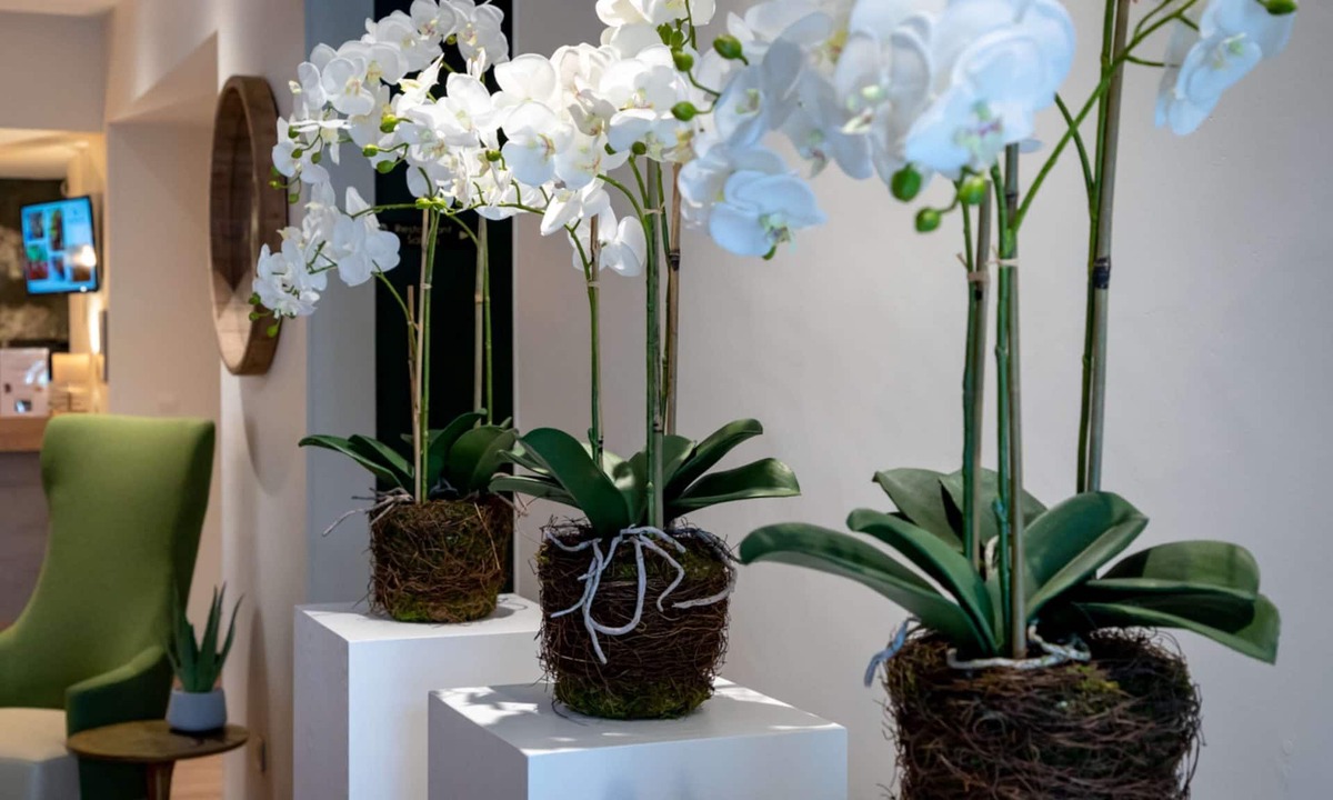 Auray Hotel | Best Western Auray Le Loch