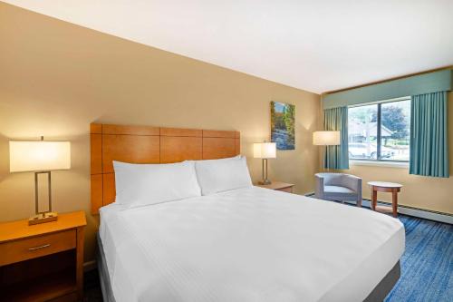 East Haven  Rutland County Hotel | Best Western Inn & Suites Rutland-Killington