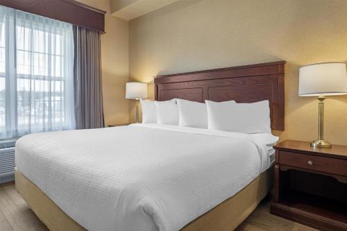 Fredericton Hotel | Best Western Plus Fredericton Hotel & Suites