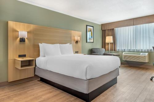 Civic Hospital - Experimental Farm - Central Park Hotel | Best Western Plus Ottawa City Centre