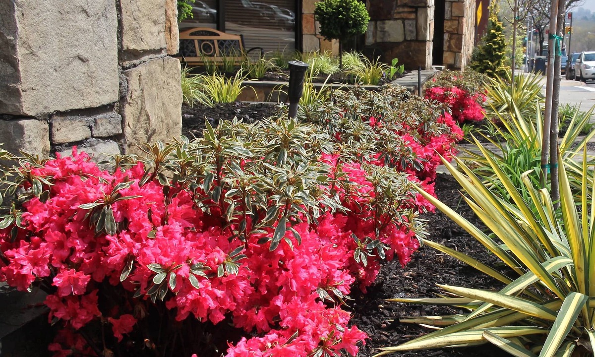 Queens Hotel | Best Western Queens Gold Coast