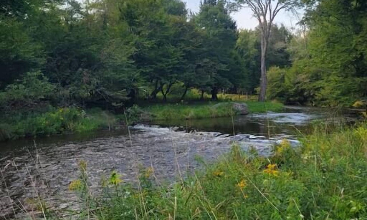Mongaup Valley House | Bethel Woods Cabin with River