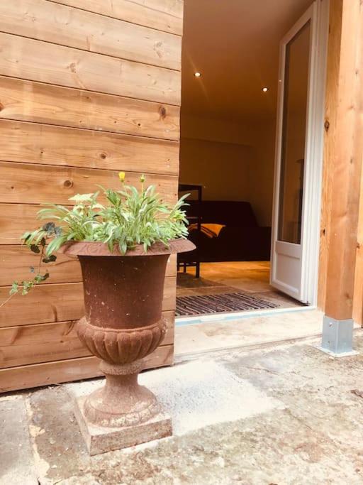 Pieusse Apartment | Bienvenue « À l’ombre du figuier »