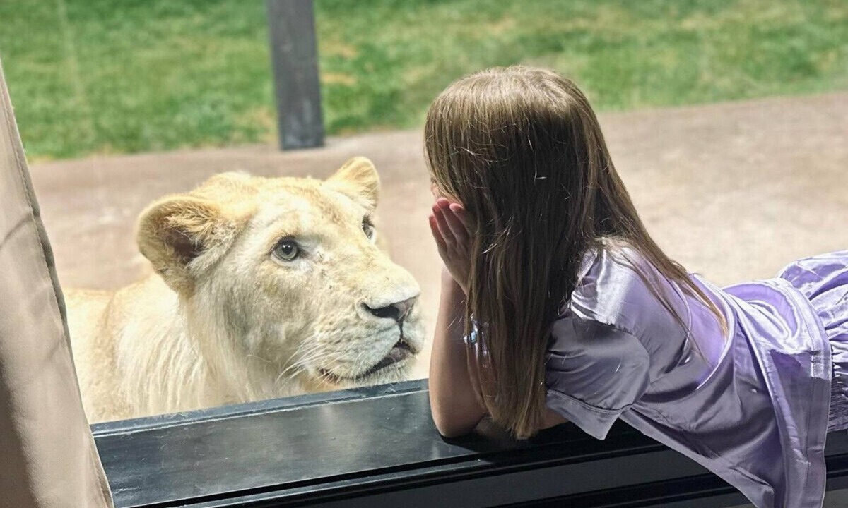 Town of Sullivan House | Big Cat Bungalows at The Haven