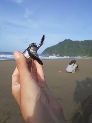 Sumberagung House | Big Daddy's surfcamp