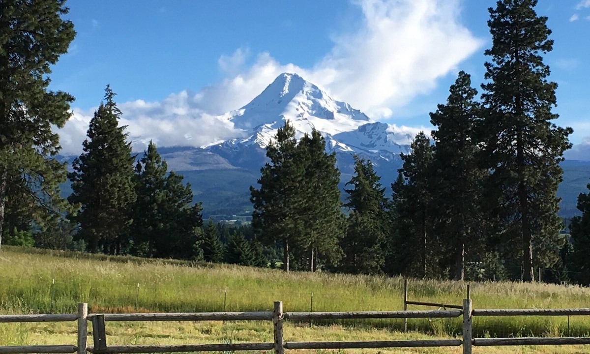 Parkdale House | Big Farm House on Fruit Loop - Great Mountain Views