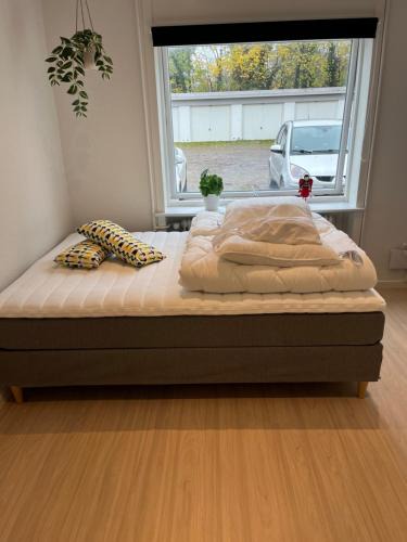 Billund Hostel | Billund mini hostel room 8 - close to LEGO HOUSE and LEGOLAND