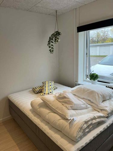 Billund Hostel | Billund mini hostel room 7