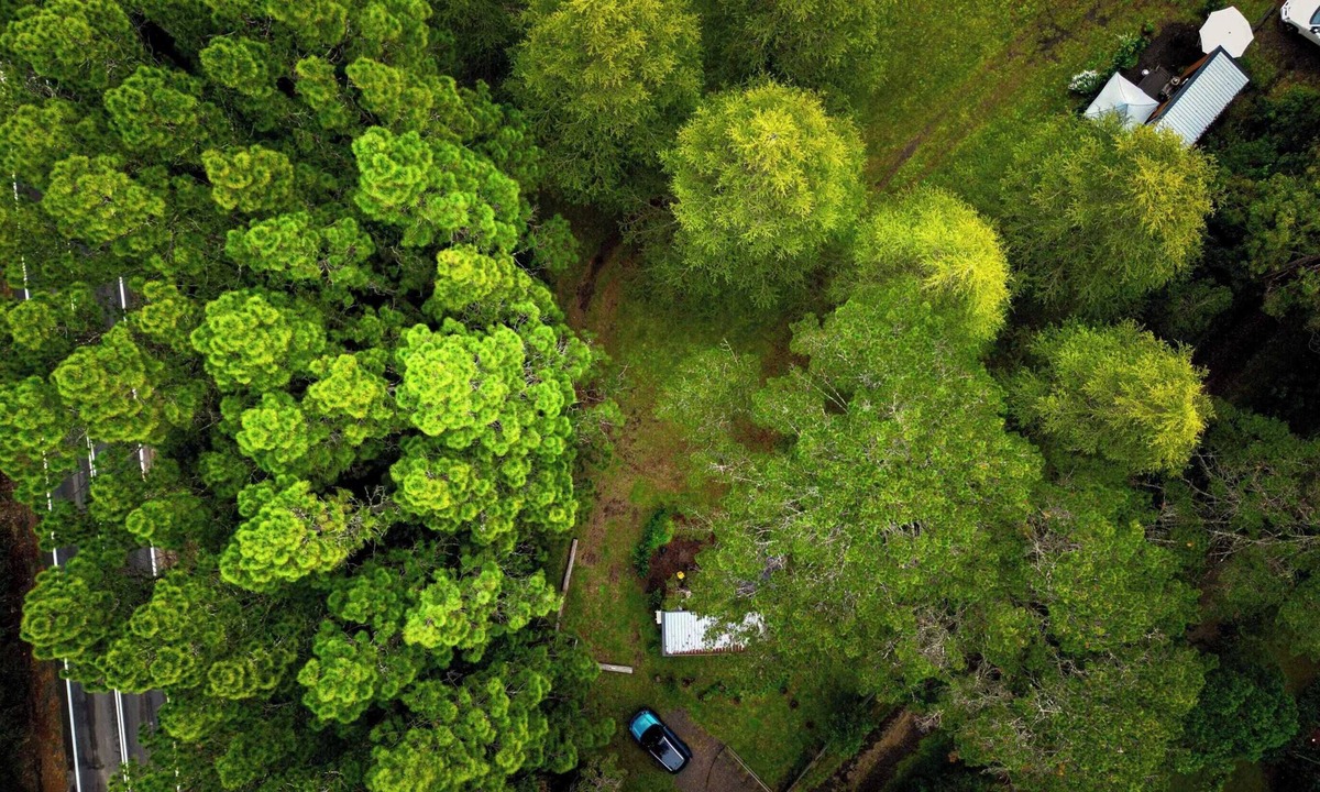 Bilpin House | Binderaga Old Orchard by Tiny Away