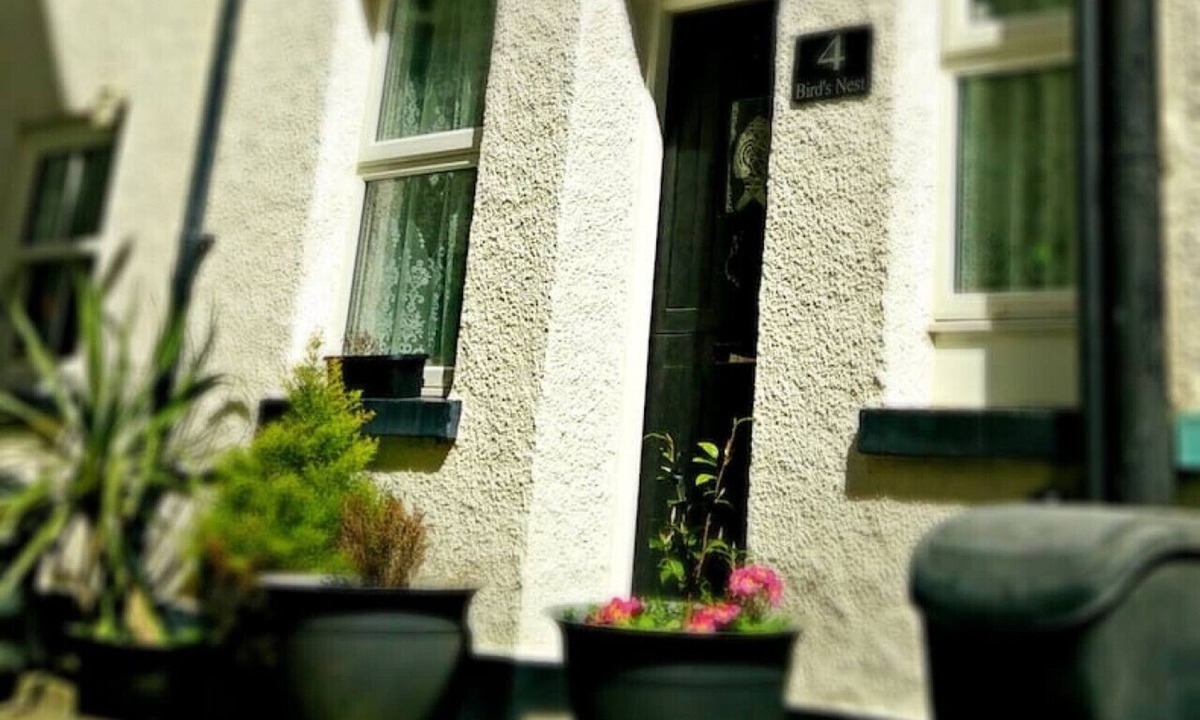 Looe Cottage | Birds Nest Cottage Looe