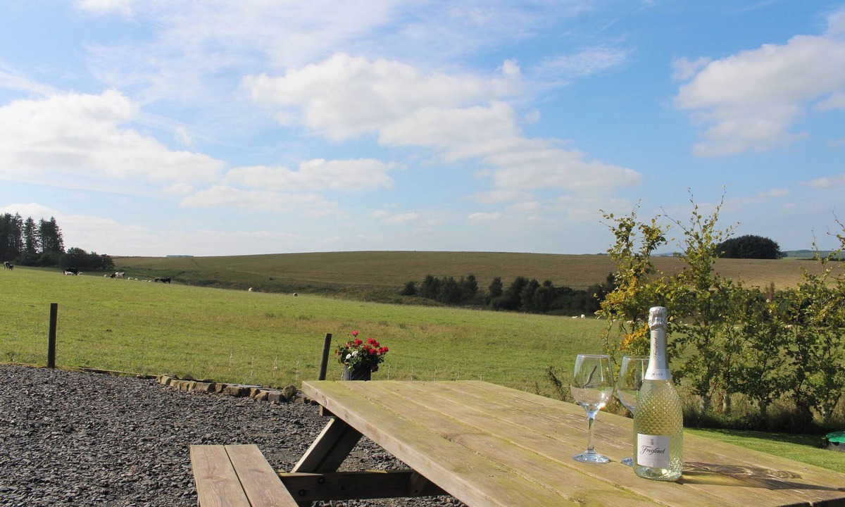 Jedburgh Cottage | Birds Nest