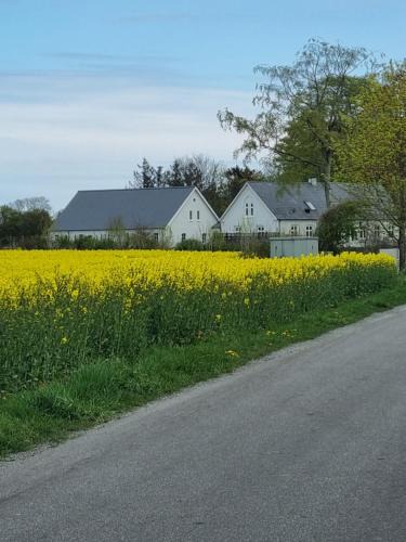 Otterup Bed & Breakfast | Birkelund BnB