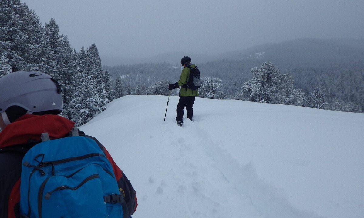 Dingle Cabin | Bitterwater Touring Amazon Cabin