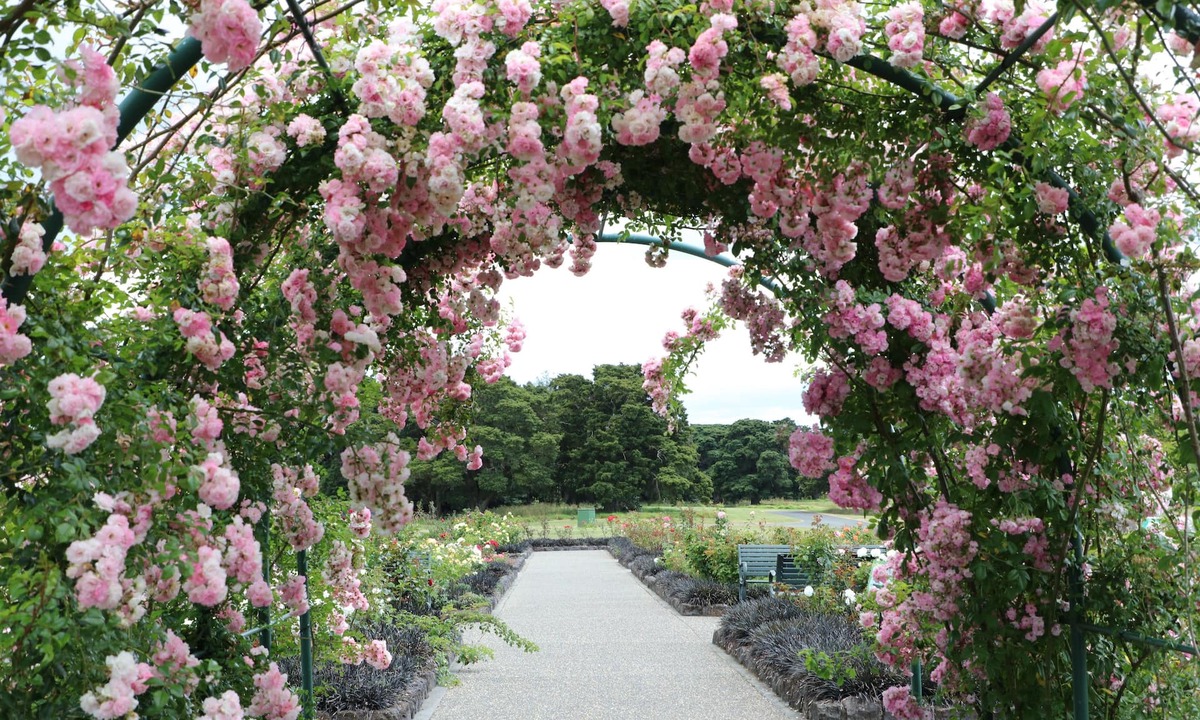 Pukekohe Hotel | Bk's Counties Motor Lodge