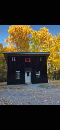 Allegheny Mountains House | Black Bear Lodge