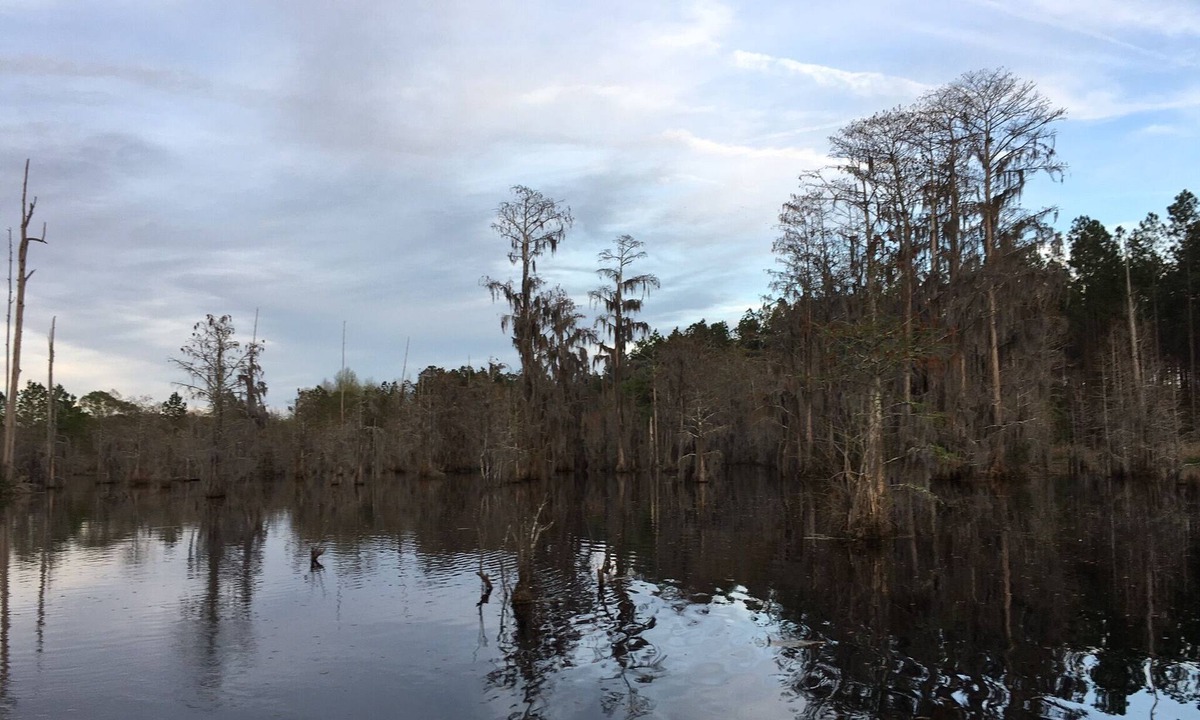 Blackshear House | Blackshear Cabin on the Pond