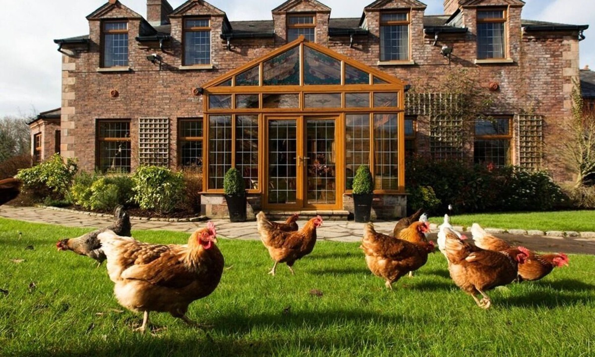 Craigavon House | Blackwell House