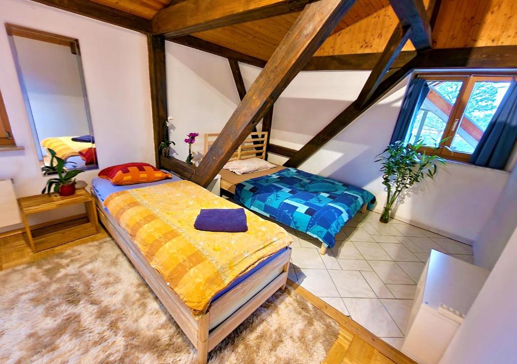 Munchenstein House | Blau bright room in nice apartment