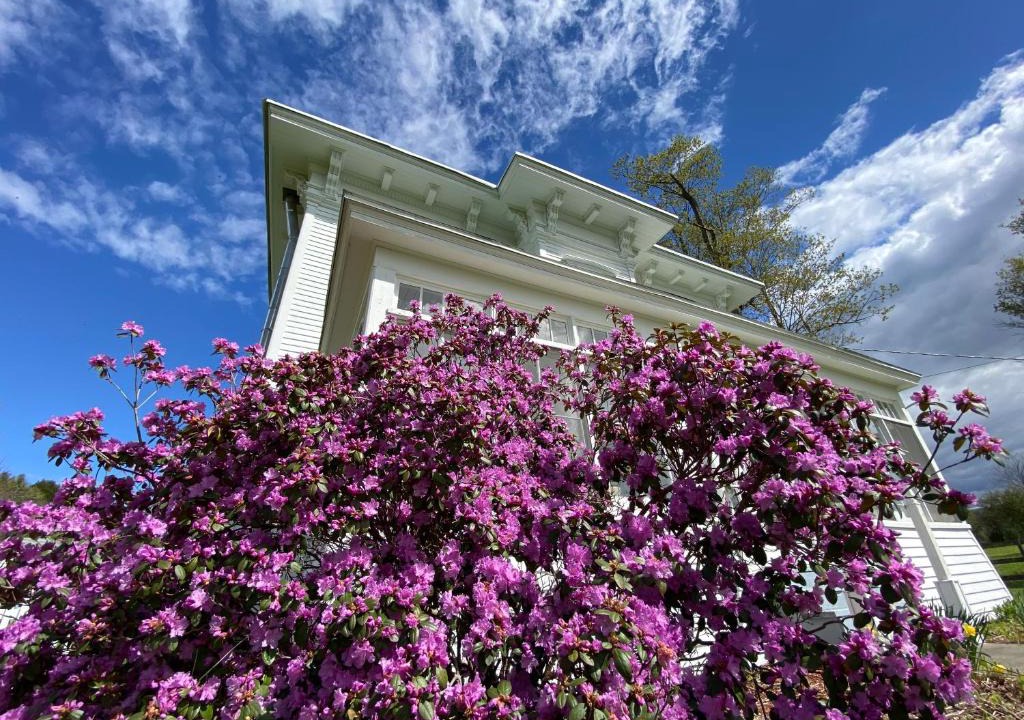 Mount Vision Bed & Breakfast | Bloom Farm Guesthouse