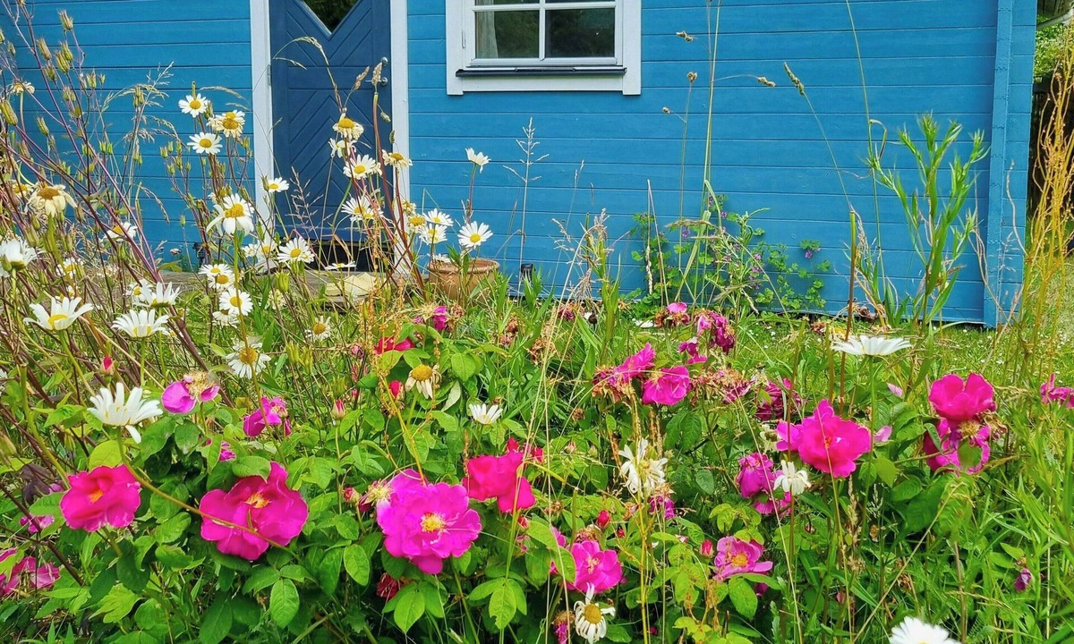 Maribo House | Blue cottage on idyllic Askø