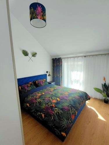 Dover Apartment | Blue Door Apartments