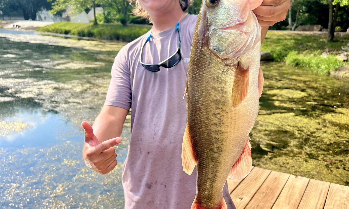 Albertville House | Blue Gill Cabin: Arcade, Fishing, Kayaks, Cornhole