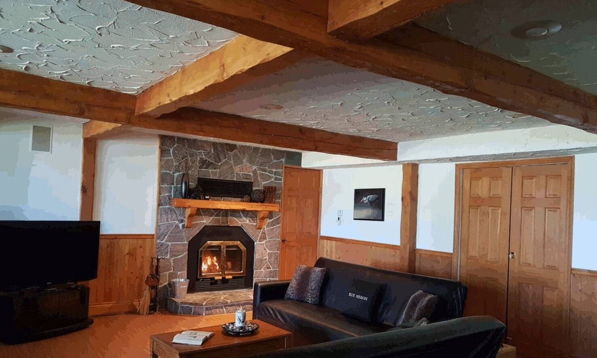 Lake of Bays Bed & Breakfast | Blue Heron Lakefront Vacation Suite c/w Algonquin Passes - Bring your pet free!