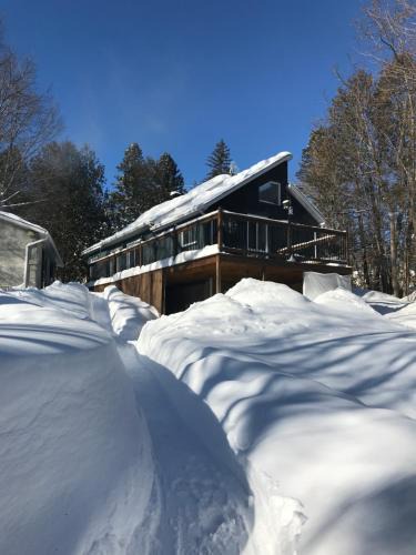 Prevost Ski Chalet | Blue Moon Cozy, Hot Tub, Close to Everything