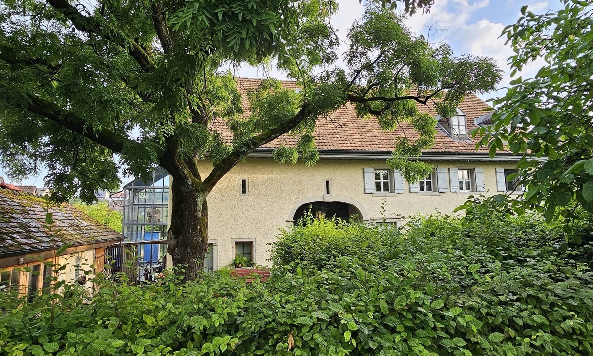 Gebenstorf Apartment | Blue Wall BnB - business apartments