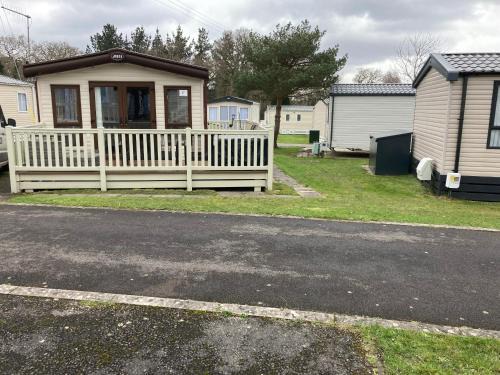 Ringwood Other | Bluebell