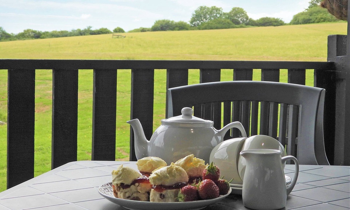 Beaworthy Cottage | Bluebell Lodge - UK13449