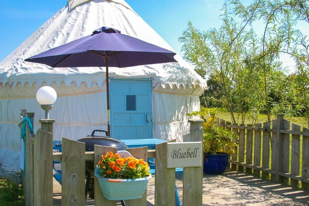 Truro House | Bluebell Yurt