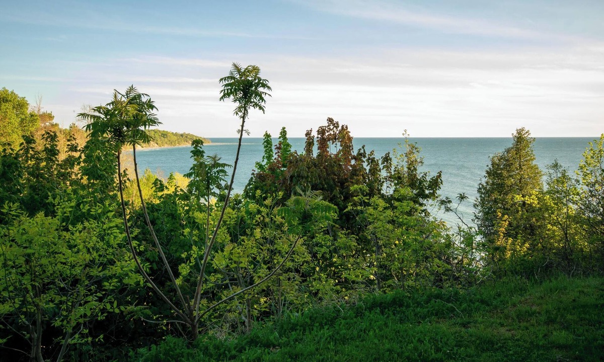 Central Huron Cottage | Bluff-Top Lake Huron Escape | Panoramic Views, Firepit, Sleeps 6